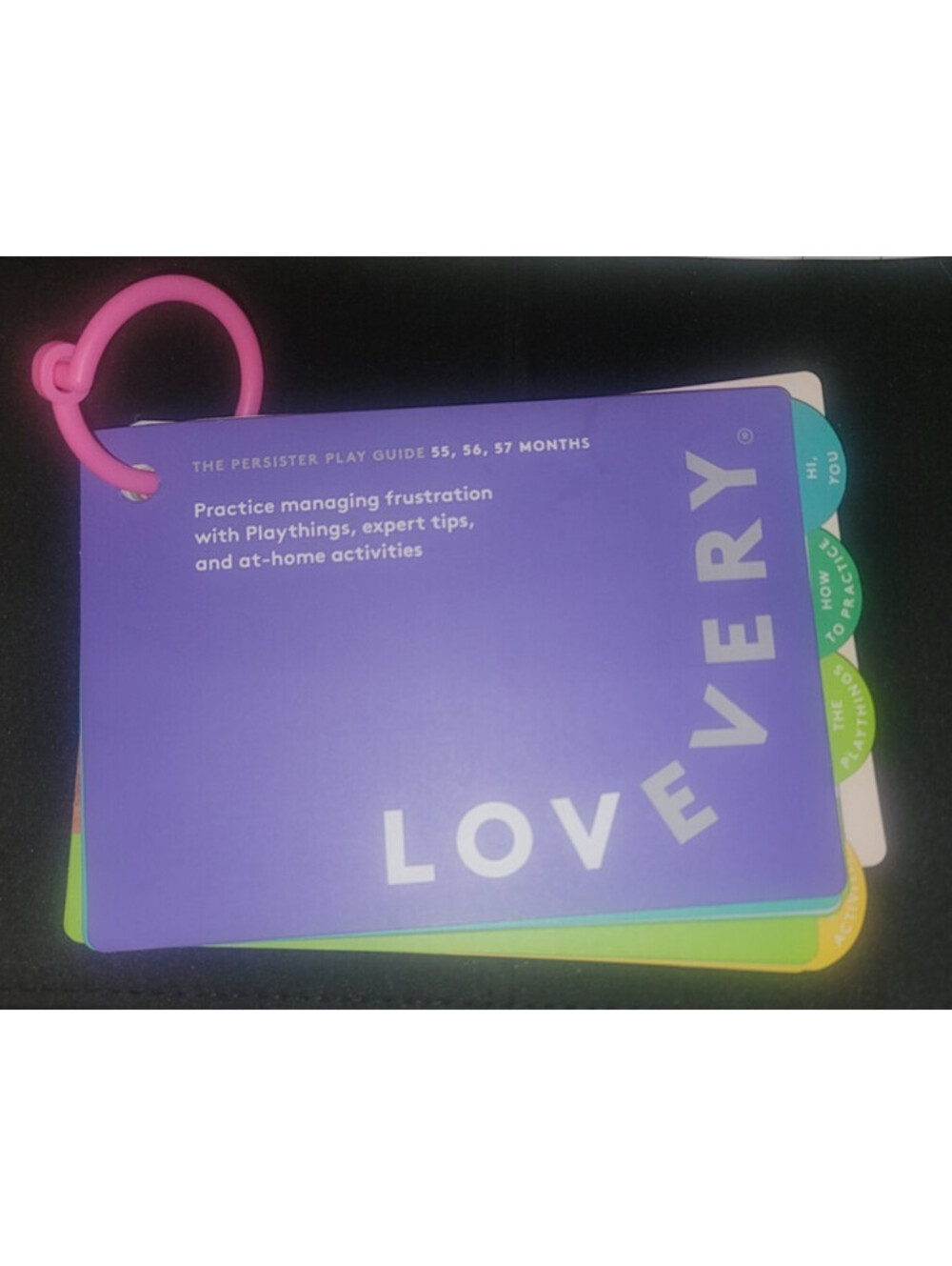 LOVEVERY THE PERSISTER PLAY GUIDE 55 56 57 MONTHS REPLACEMENT AGE 4 YEARS OLD